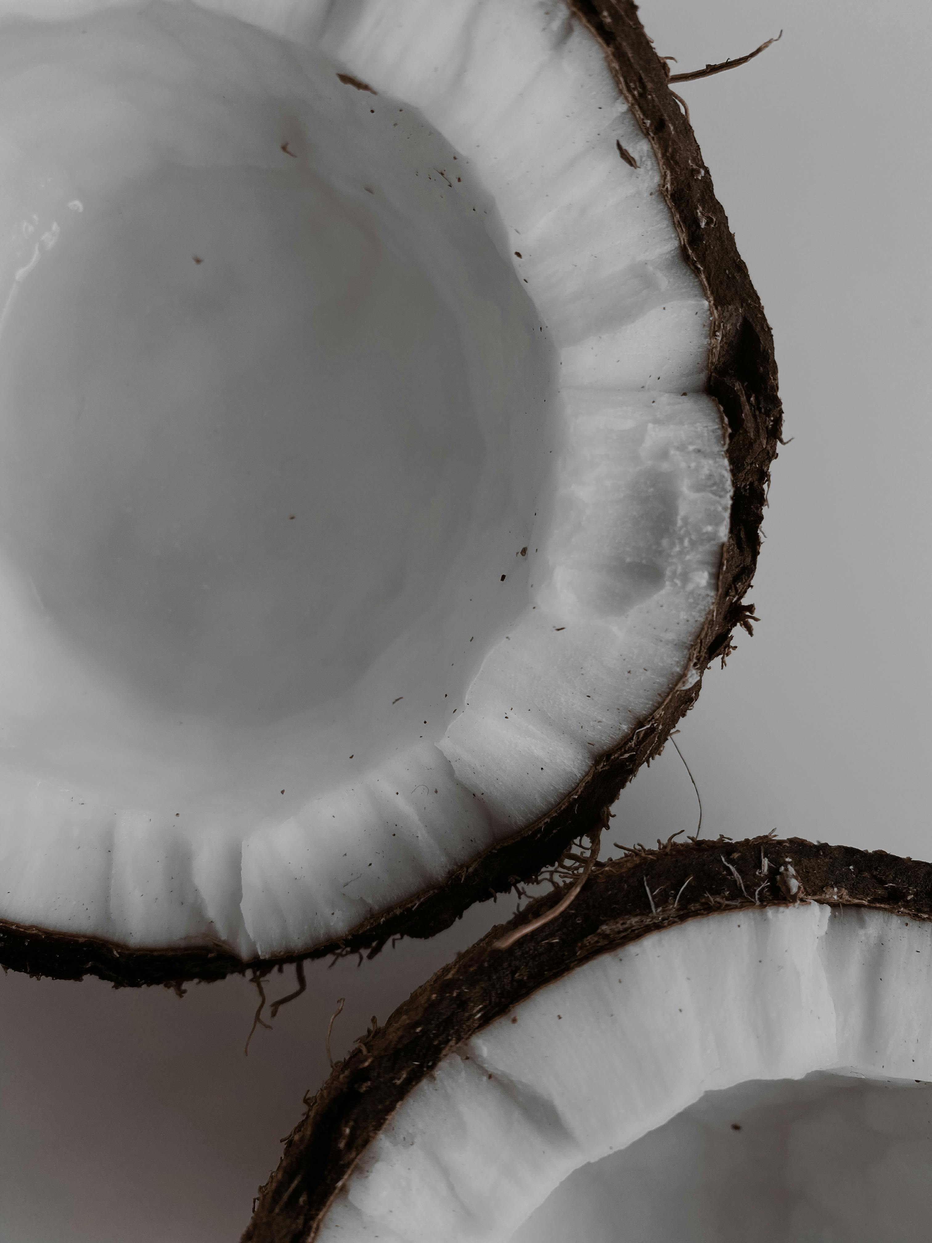 Virgin coconut oil bulk export